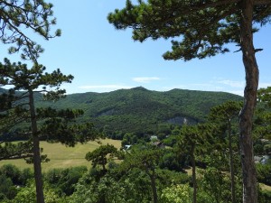 Naturschutzgebiet Föhrenberge - Wandern in der Natur