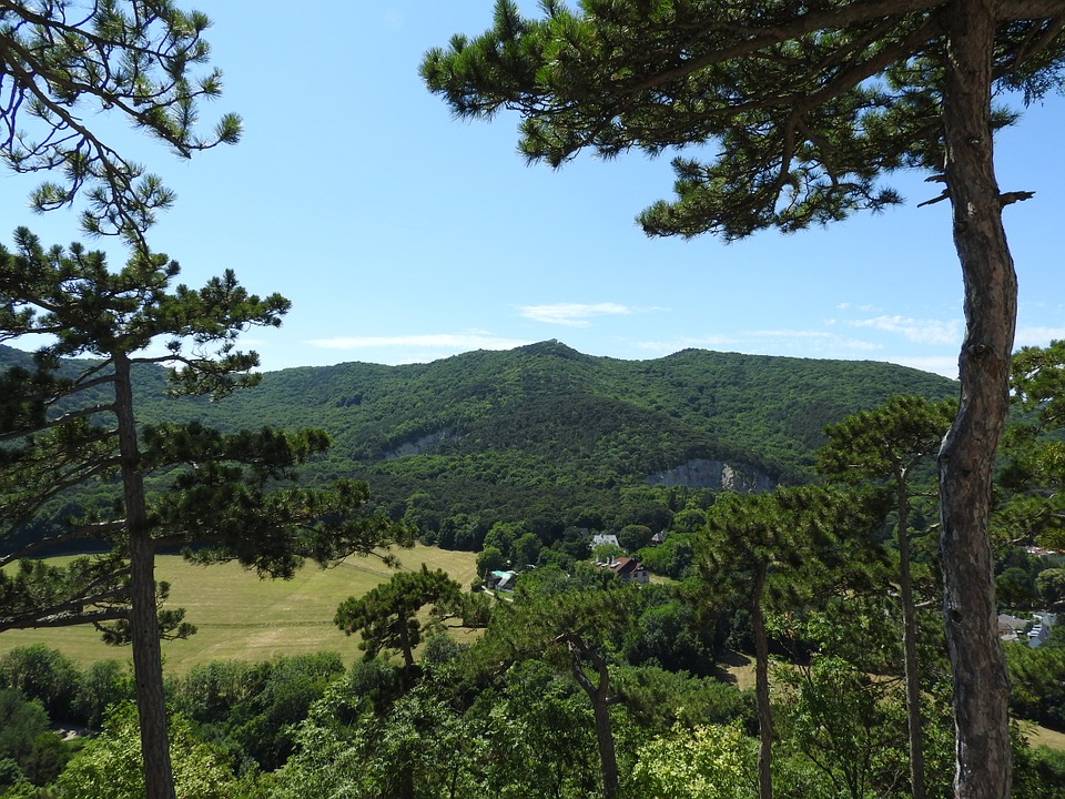 Naturschutzgebiet Föhrenberge - Wandern in der Natur